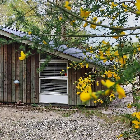 Tatil Evi Holiday Lxxxvii Ålbæk